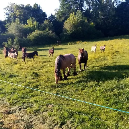 Le Logis Gourmand Ferme Definitivement Pas Reservable Not Bookable ベッド・アンド・ブレックファスト Payroux